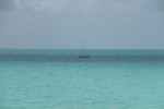 resIMG_20190613_102230_0775.JPG